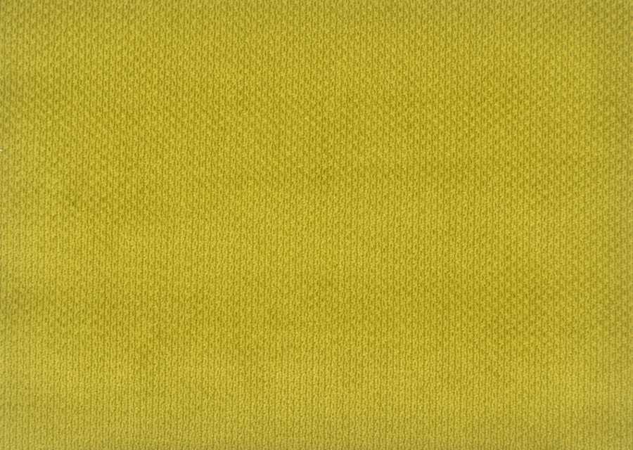 Bergamo Textured Velvet in Pistachio